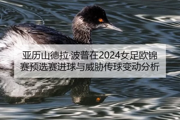亚历山德拉·波普在2024女足欧锦赛预选赛进球与威胁传球变动分析